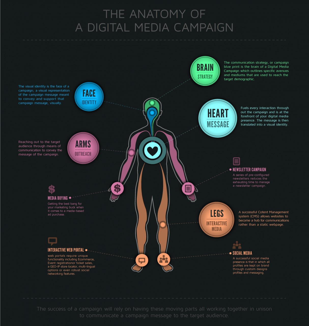 The Anatomy of a Digital Media Campaign